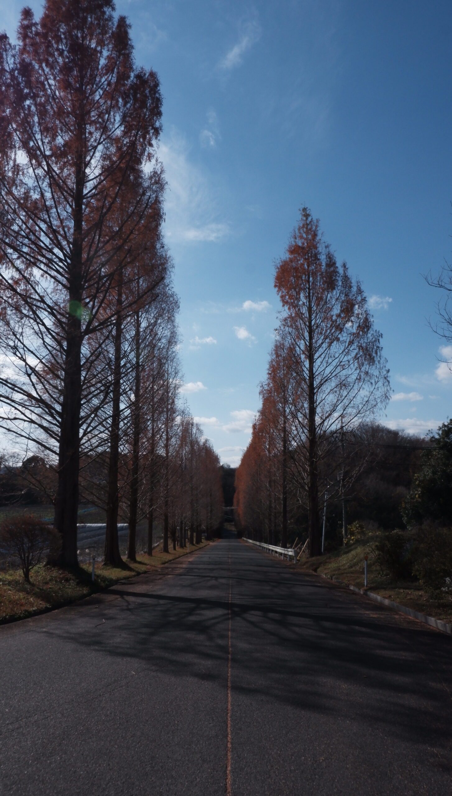 雲南市での活動の様子